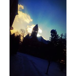 Image post by @themralex on Instagram