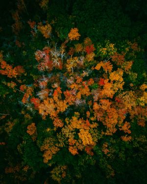 Image post by @martemedia on Instagram