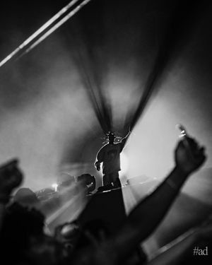 Image post by @gregnoire on Instagram