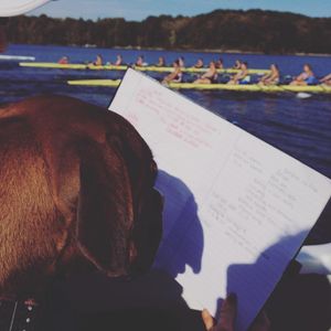 Image post by @indianarowing on Instagram