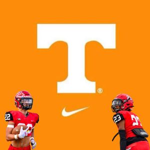 Image post by @Mooney_FB on Twitter