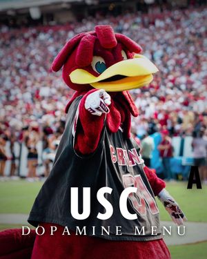 Image post by @uofscstudents on Instagram