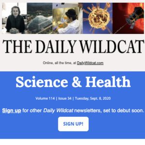 Image post by @dailywildcat on Instagram