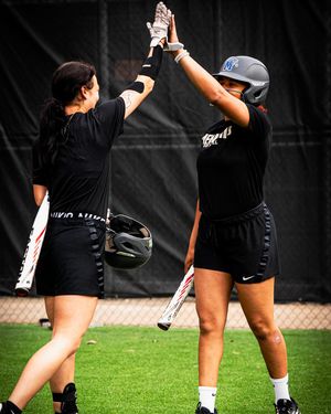 Image post by @memphissoftball on Instagram