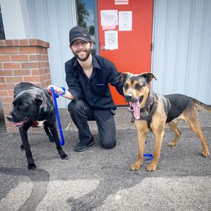 Image post by @spokhumanesoc on Instagram