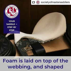 Image post by @performancesaddlefitssthsydney on Instagram