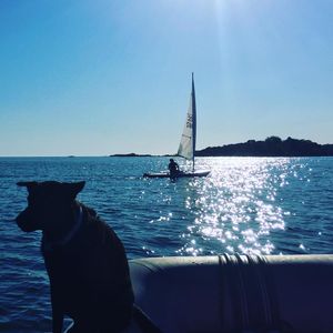 Image post by @yalesailing on Instagram