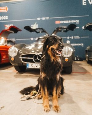 Image post by @mercedesbenz on Instagram