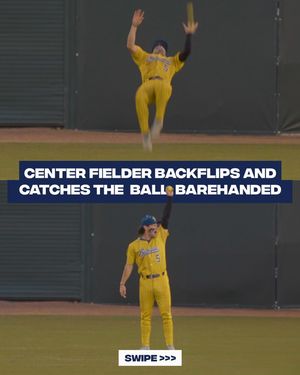 Image post by @thesavbananas on Instagram