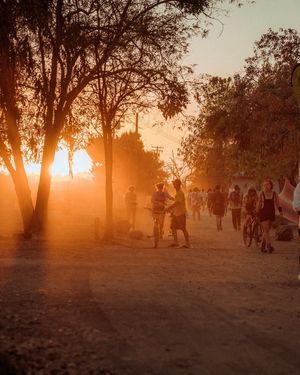 Image post by @dirtybirdcamp on Instagram