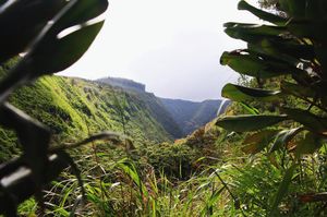 Image post by @olukai on Instagram