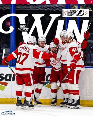 Image post by @detroitredwings on Instagram