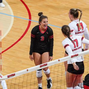 Image post by @isuredbirds on Instagram