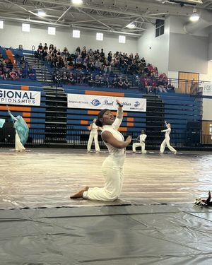 Image post by @wgicolorguard on Instagram