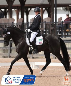 Image post by @usequestrian on Instagram