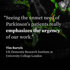 Image post by @cziscience on Twitter