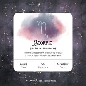 Image post by @soulterra on Instagram