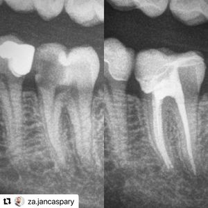 Image post by @ripeglobal on Instagram