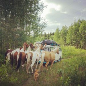 Image post by @kombilifeadventures on Instagram