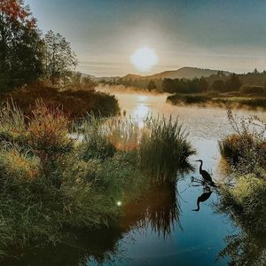 Image post by @tourismabbotsford on Instagram