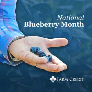 Image post by @farmcredit on Instagram
