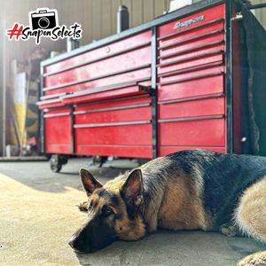 Image post by @snapon_official on Instagram