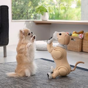 Image post by @sony on TikTok