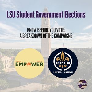 Image post by @lsutigertv on Instagram
