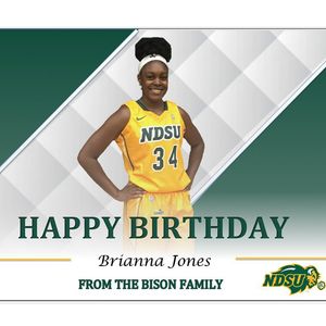 Image post by @ndsuwbb on Instagram