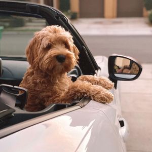 Image post by @fiatusa on Instagram