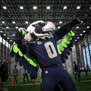 Image post by @blitztheseahawk on Instagram