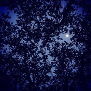 Image post by @rubenrobledo on Instagram