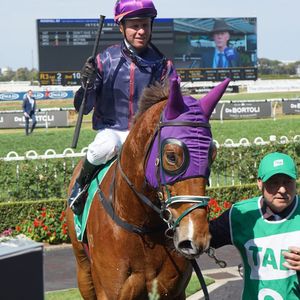 Image post by @australianturfclub on Instagram