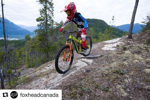 Image post by @jacksongoldstone on Instagram