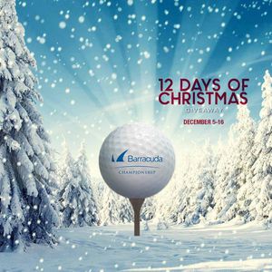 Image post by @barracudachampionship on Instagram