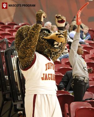 Image post by @iuijazzyandjawz on Instagram