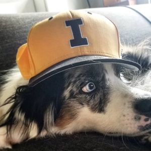 Image post by @iowaadmissions on Instagram