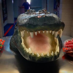Image post by @floridagators on Instagram