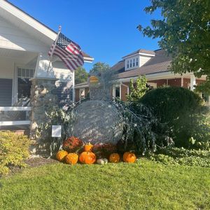 Image post by @C9Multisport on Twitter