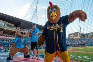 Image post by @MiLB on Twitter