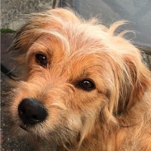 Image post by @lemondrop_social on Instagram