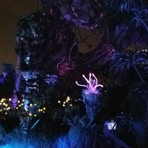 Image post by @thedisneyblog on Instagram