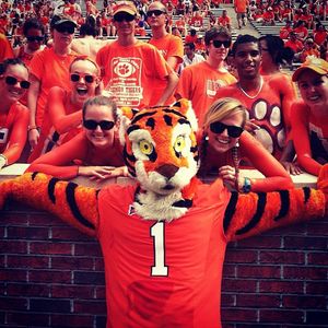 Image post by @thetiger_cu on Instagram