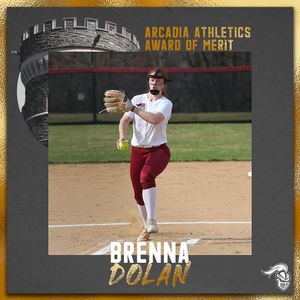 Image post by @arcadia_knights on Instagram