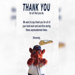 Image post by @biscuitbaseball on Instagram