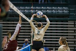 Image post by @wmtribevb on Instagram