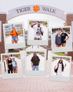 Image post by @clemsonwbb on Instagram