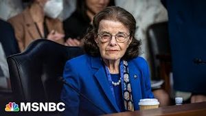 Video post by @msnbc on YouTube