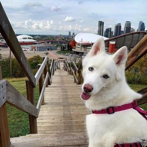 Image post by @cityofcalgary on Instagram