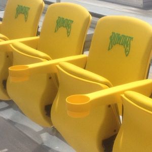 Image post by @tampabayrowdies on Instagram